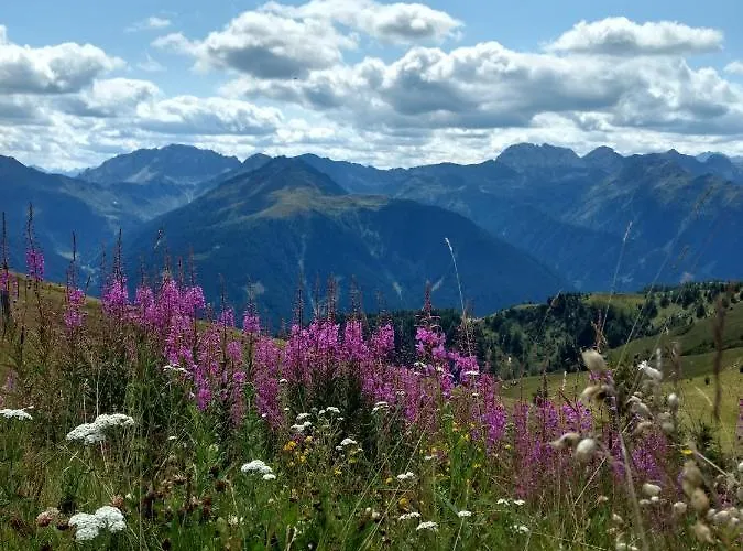 Gailtal Panorama Apartment *