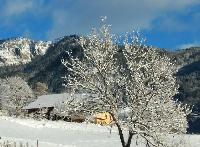 Apartment Gailtal Panorama